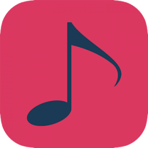 Smart Player Pro - Smartest music player