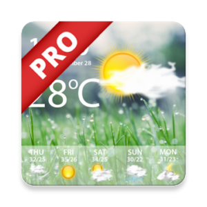 Weather Pro - Weather Real-time Forecast