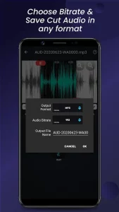 Audio Video Manager pro