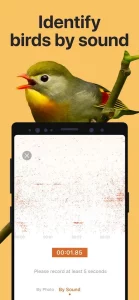 Picture Bird mod
