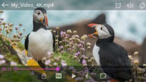 Video Player Apk