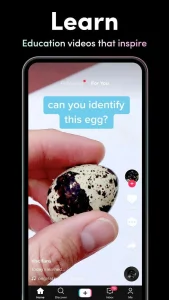 TikTok mod